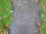 image of grave number 711160